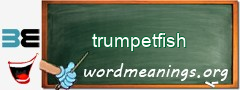 WordMeaning blackboard for trumpetfish
